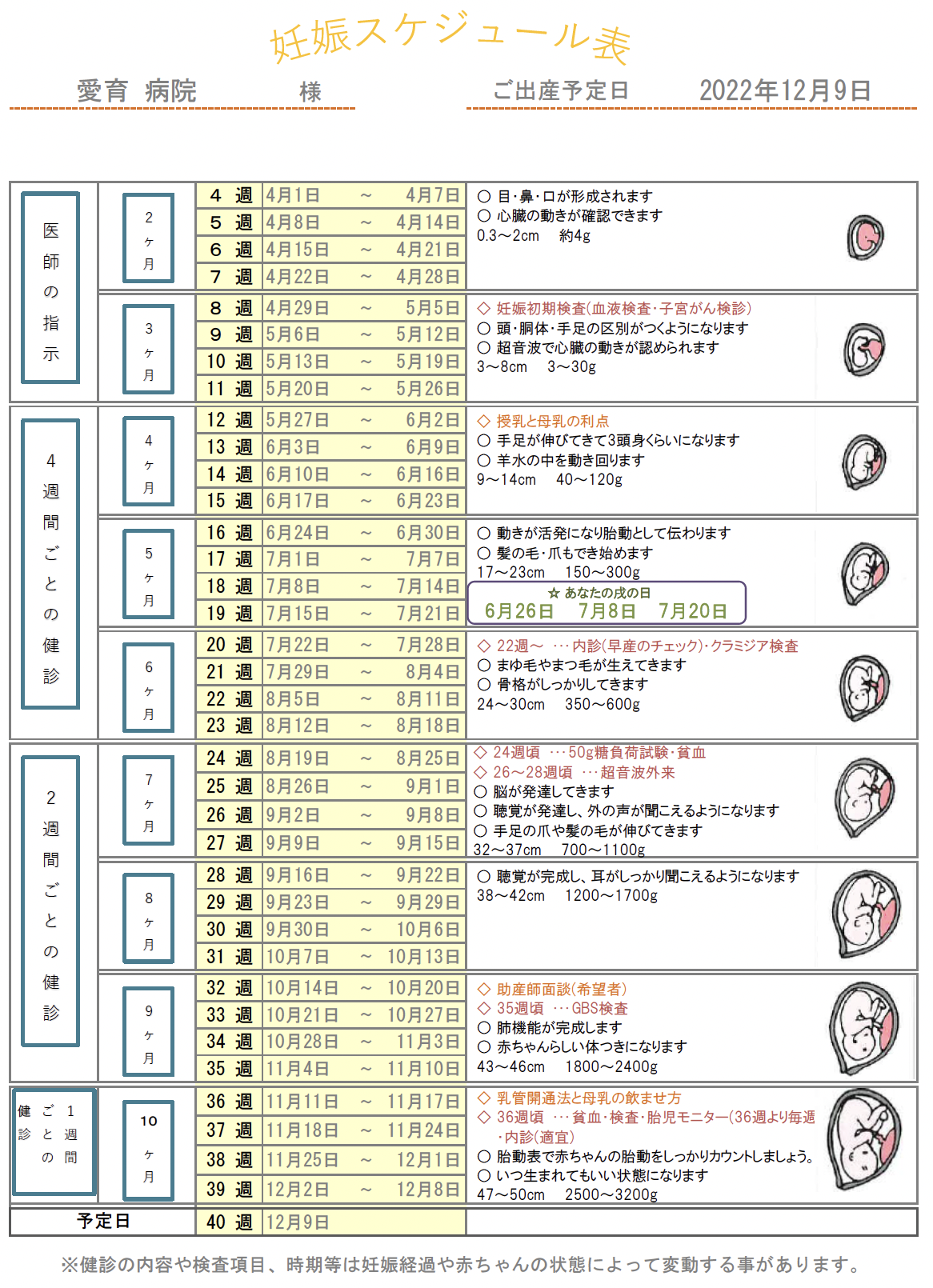 今、妊娠何週？何ヶ月？ - 医療法人愛育会 愛育病院（鹿児島市の産婦人 